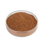 Rhododendron Caucasicum Extract Manufacturer - Organic Powder for Health Care Supply