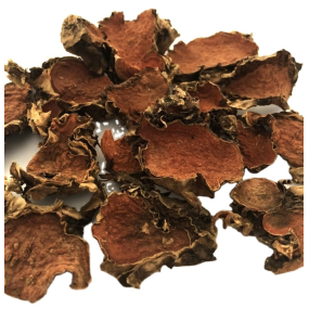 Rhodiola Rosea Root Manufacturer - Supply High Quality Bulk OEM Rhodiola Rosea Root Slice Cut TBC Free Sample Best Price