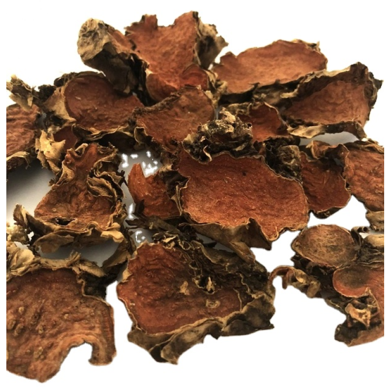 Rhodiola Rosea Root Manufacturer - Supply High Quality Bulk OEM Rhodiola Rosea Root Slice Cut TBC Free Sample Best Price