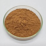 Shilajit Extract Powder Manufacturer - Pure Natural High Quality Food Grade 50% Fulvic Acid Supply
