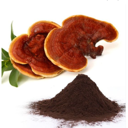 Organic Reishi Spore Powder Manufacturer - Supply Pure High Quality Raw Free Sample Best Price for Sale