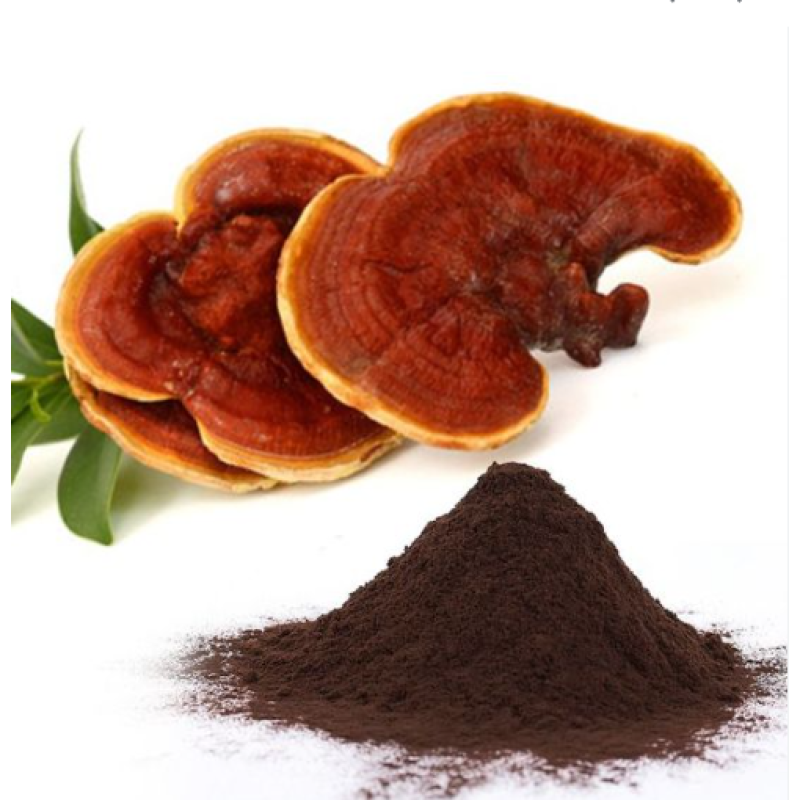 Organic Reishi Spore Powder Manufacturer - Supply Pure High Quality Raw Free Sample Best Price for Sale