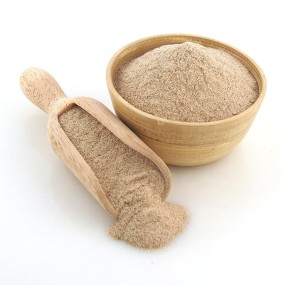 Organic Psyllium Husk Powder Manufacturer - Best Price Psyllium Seed Husk Powder Supply