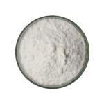 Organic Glucomanan Konjac Extract Manufacturer - Food Grade Konjac Root Dietary Fiber Powder Wholesale