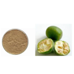 Ceremonial Grade Matcha Powder Manufacturer - USDA Organic Certified Free Sample Supply