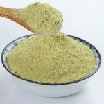Dendrobium Stem Powder Manufacturer - Bulk Freeze-dried Shihu Herbal Dendrobium Officinale Powder Best Price