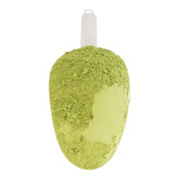 Matcha Powder Manufacturer - Bulk Supply Food Grade and Ceremony Grade Matcha Green Tea Powder
