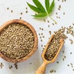 Hemp Seed Manufacturer - Supply High Quality Free Sample Best Price for Sale