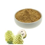 Cherimoya Concentrate Juice Powder Manufacturer - Organic Annona Squamosa Custard Apple Powder Supply