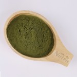 Luo Han Guo Extract Manufacturer - Supply for Sale