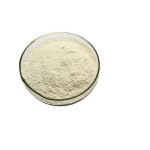 Grapefruit Powder Manufacturer - Bulk Supply Yuzu Powder Fruit Concentrate Juice Extract Powder
