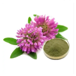 Red Clover Leaf Powder Manufacturer - Supply High Quality Free Sample Best Price Red Clover Extract Powder