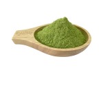 Tribulus Terrestris Powder Manufacturer - Bulk Supply Support Private Label Tribulus Terrestris Capsule