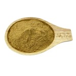 Cola Acuminata Kola Nut Extract Manufacturer - Hot Selling ISO Kosher Halal Certificated Organic Powder
