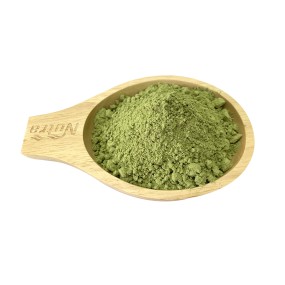 Barley Grass Powder Manufacturer - Hot Selling Barley Grass Juice Extract Powder