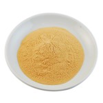 Sea Buckthorn Extract Manufacturer - High Quality Seabuckthorn Juice Powder Sea Buckthorn Flavone Supply