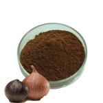 Black Garlic Powder Manufacturer - High Quality Black Garlic Powder Supply