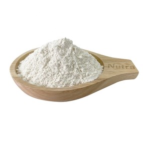 Organic Almond Milk Powder Manufacturer - Pure Natural Food Grade Powder for Vegan