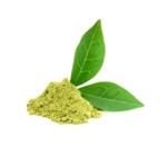 Matcha Green Tea Powder Manufacturer - Food Grade 100% A AA 3AAA Ceremonial Grade Powder Supply