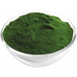 Organic Chlorella Powder Manufacturer - Pure Natural High Quality Wholesale Bulk Chorella Tablets Supply