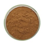 Shilajit Extract Powder Manufacturer - Pure Natural High Quality Food Grade 50% Fulvic Acid Supply