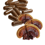Reishi Extract Powder Manufacturer - Supply Pure High Quality Organic 10:1 5:1 Extract with 10% 20% 30% 40% 50% Polysaccharide