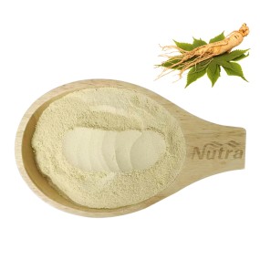 Ginseng Powder Manufacturer - Supply High Quality Free Sample Best Price for Sale