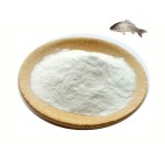 Ceremonial Grade Matcha Powder Manufacturer - USDA Organic Certified Free Sample Supply