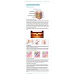 RF Microneedle Machine Supplier - Skin Care Micro Needle Rf Lifting Fractional Face RF Lifting