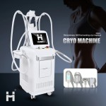 PDT Light Therapy Machine Supplier - 2025 Hot Sale Red Blue Led Professional Color Therapy