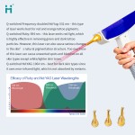 Tattoo Removal Machine Supplier - 1064nm Hair Removal Veins Removal Long Pulse Carbon Peel