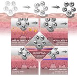 Cellulite Reduction Machine Manufacturer - Anti Cellulite Inner Ball Roller Body Contouring Pressotherapy