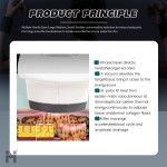 Cryolipolysis Machine Manufacturer - Verified Supplier 360 Fat Freeze Professional Cryo Slimming