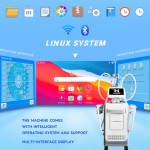 Cryolipolysis Machine Supplier - 2025 Huamei 4 Handles Vacuum Cryo Slim Weight Loss Fat Freeze