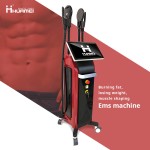 EMS Body Sculptor Manufacturer - App-Controlled 2-in-1 13 Tesla Neo Magnetic Technology
