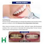 Dental Laser Machine Supplier - Multifunction 980nm Dental Surgery Diode Laser