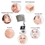 PDT Machine Manufacturer - Facial Therapy Beauty Lamp for Salon Medical PDT Machine