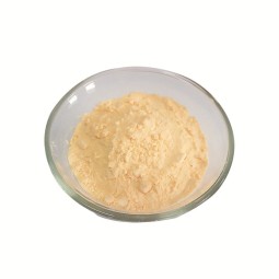 Honey Butter Seasoning Powder Factory - for Chips Fries Chickens Popcorn Puffed