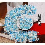 Cake Decoration Jimmies Supplier - Sequin Rod Edible Rainbow Pearls for Bread Cake