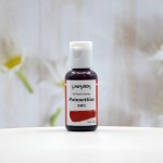 Jelly Food Color Factory - Gel Food Coloring Yellow Green Blue Red for Bakery