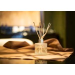 Lemon Mango Fragrance Supplier - Brand Perfume Oil for Reed Diffusers Candle