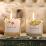 White Musk Fragrance Oil Supplier - for Candle Making China Bulk Supplier