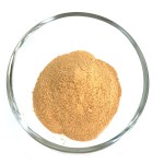 Roasted Seasoning Powder Supplier - Chicken Beef Curry Cheese Butter Spicy for Snacks