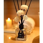 Lemon Fragrance Oil Manufacturer - Good Essential for Reed Diffusers Soap Detergent