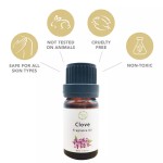 Jasmine Fragrance Oil Manufacturer - Long Lasting Oil Based Eco-friendly for Candles