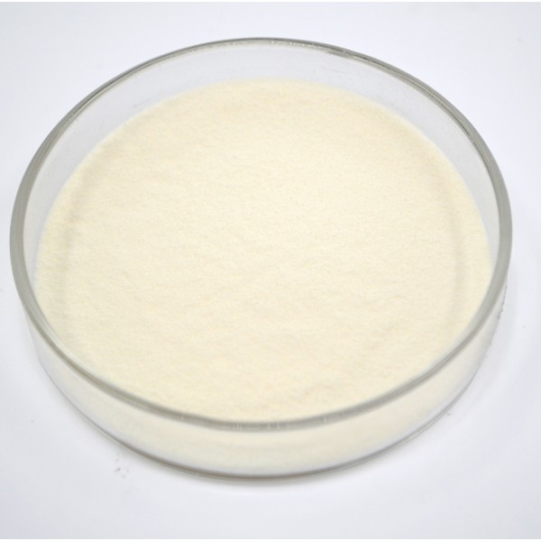 Fish Collagen Peptide Manufacturer - Premium Quality 1000~6000 Dalton for Food Cosmetics