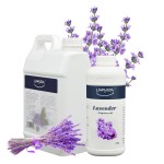 Lavender Fragrance Oil Manufacturer - Good Essential Perfume for Reed Diffusers