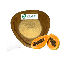 Sea Buckthorn Powder Manufacturer - Food Grade Freeze-dried No Additives