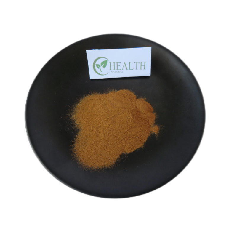 Reishi Mushroom Powder Manufacturer - High Purity Herbal Extract Wholesale Price