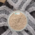 Matcha Powder Supplier - Ceremonial Grade Organic Green Tea Powder